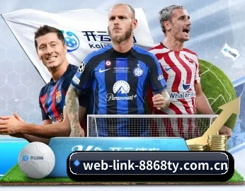 web-link-8868ty.com.cn APP 深度功能